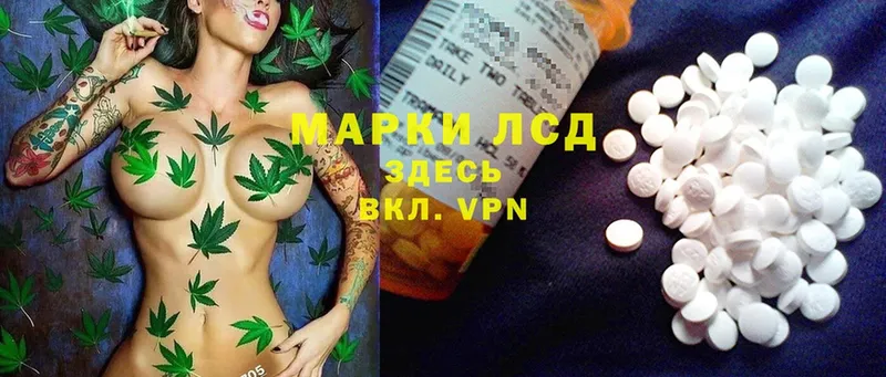 купить закладку  Алейск  LSD-25 экстази ecstasy 